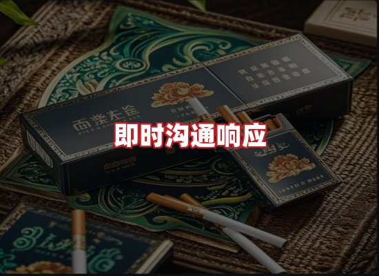 专业团队